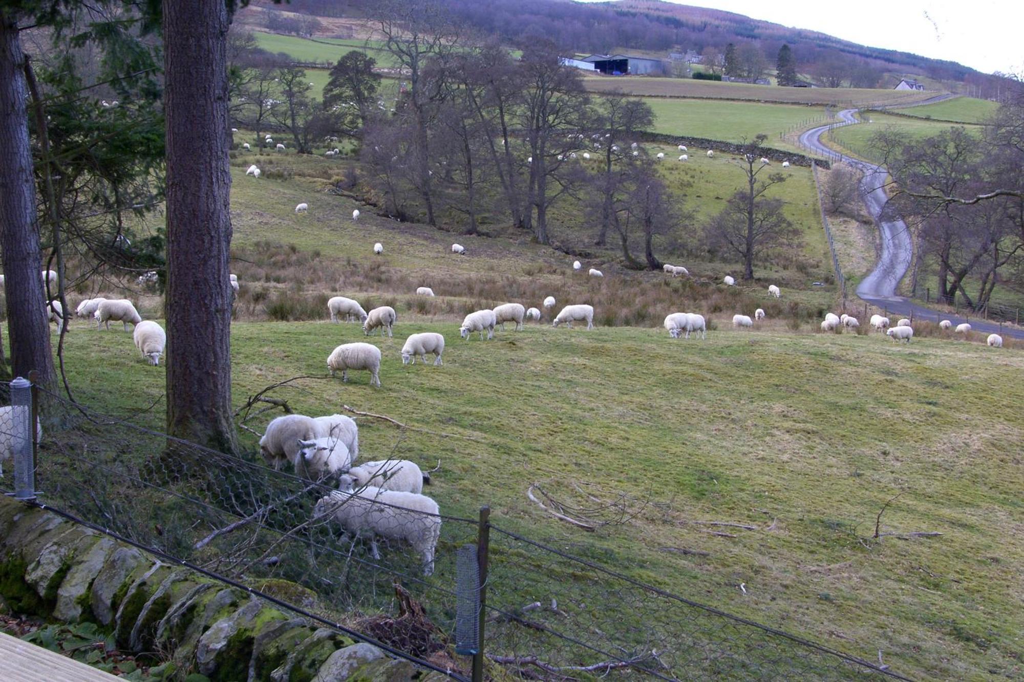 Brae House Bed and Breakfast Aberfeldy Buitenkant foto